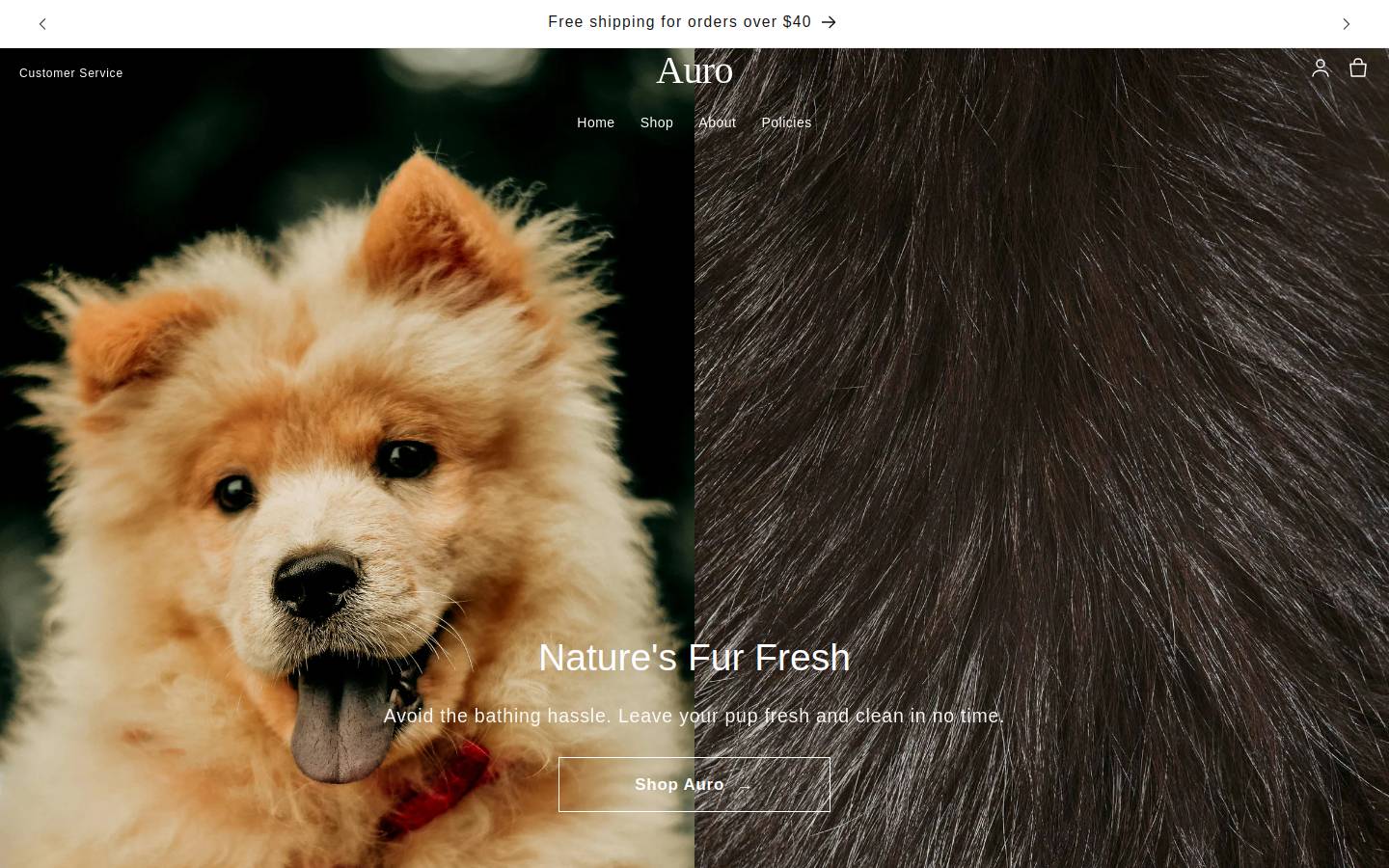 auroscents.com homepage screenshot