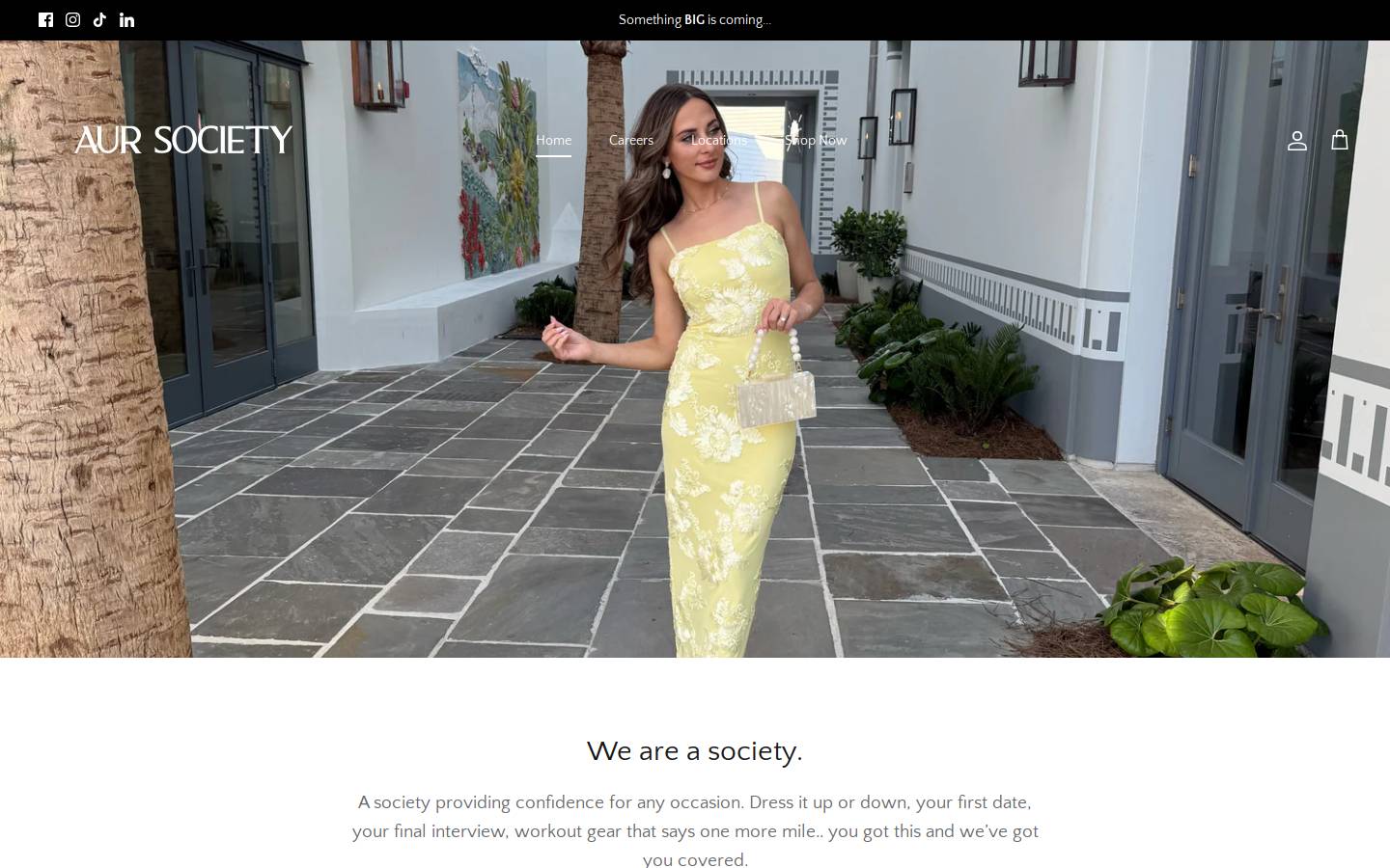 aursociety.com homepage screenshot