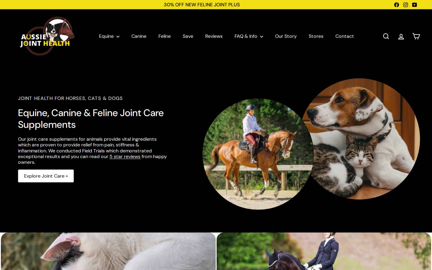 aussiejointplus.net.au homepage screenshot