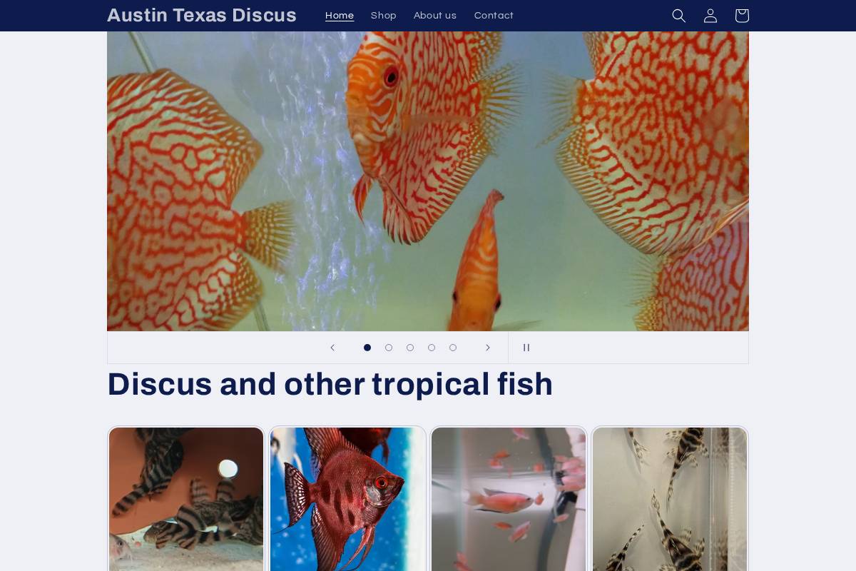 austintexasdiscus.com homepage screenshot