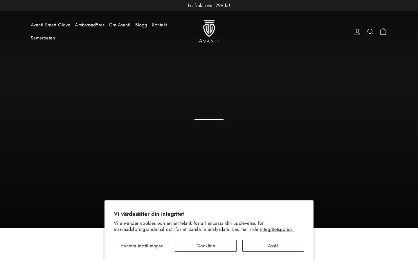 avantihorse.com homepage screenshot