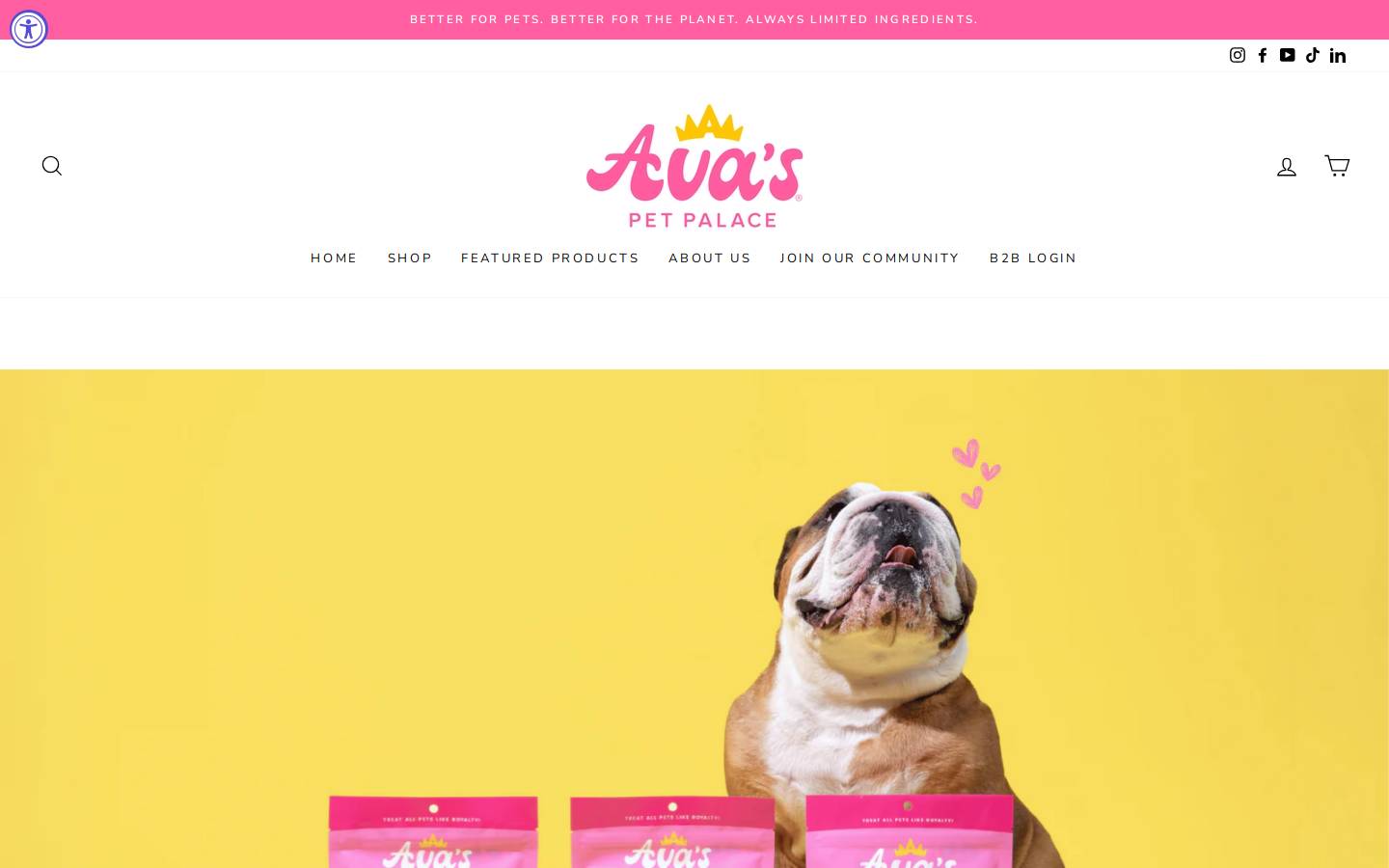 avaspetpalace.com homepage screenshot