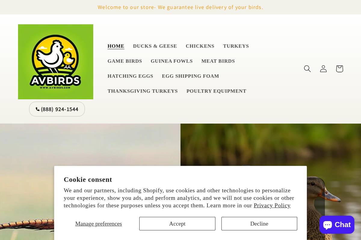avbirds.com homepage screenshot