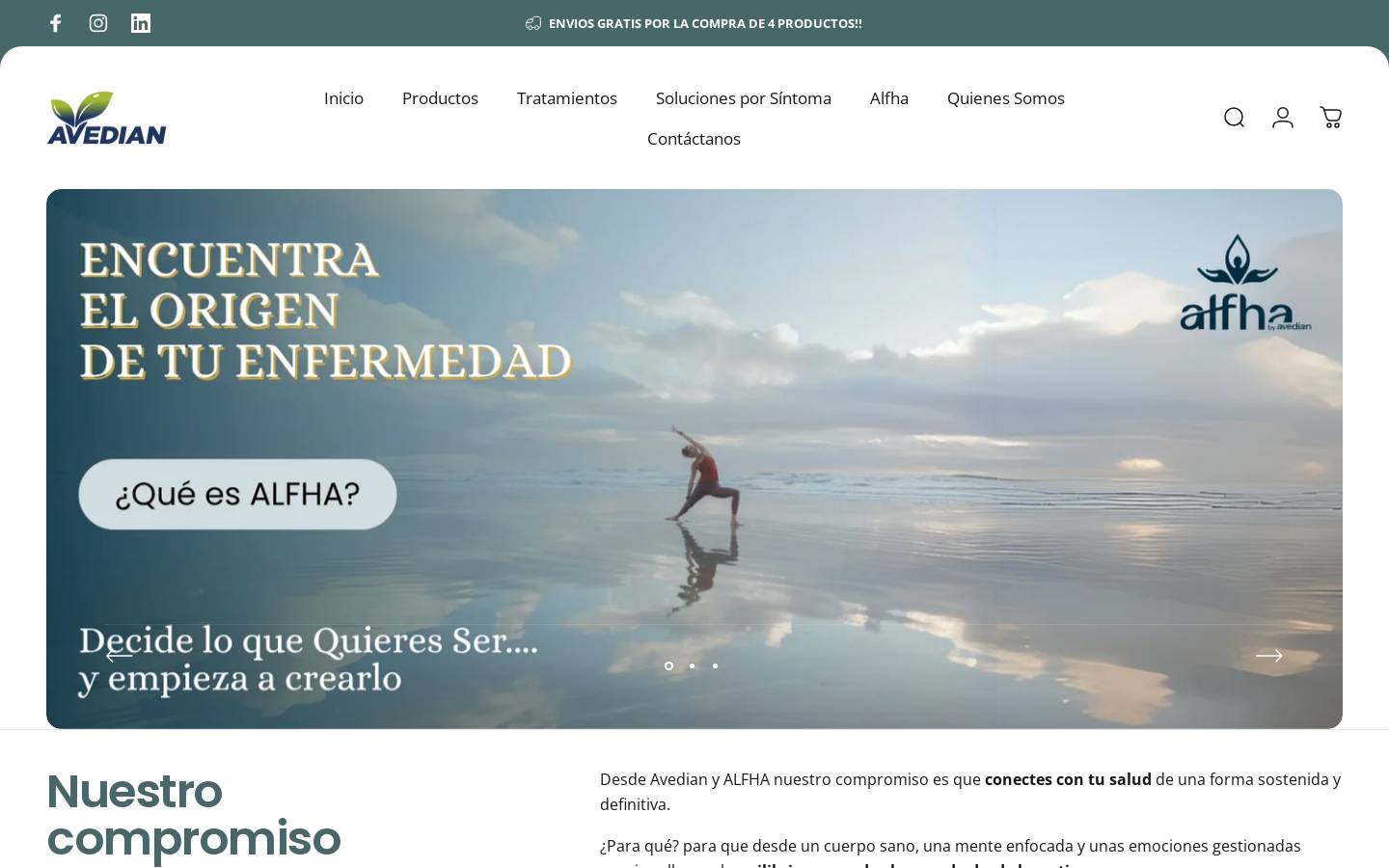 avedian.es homepage screenshot