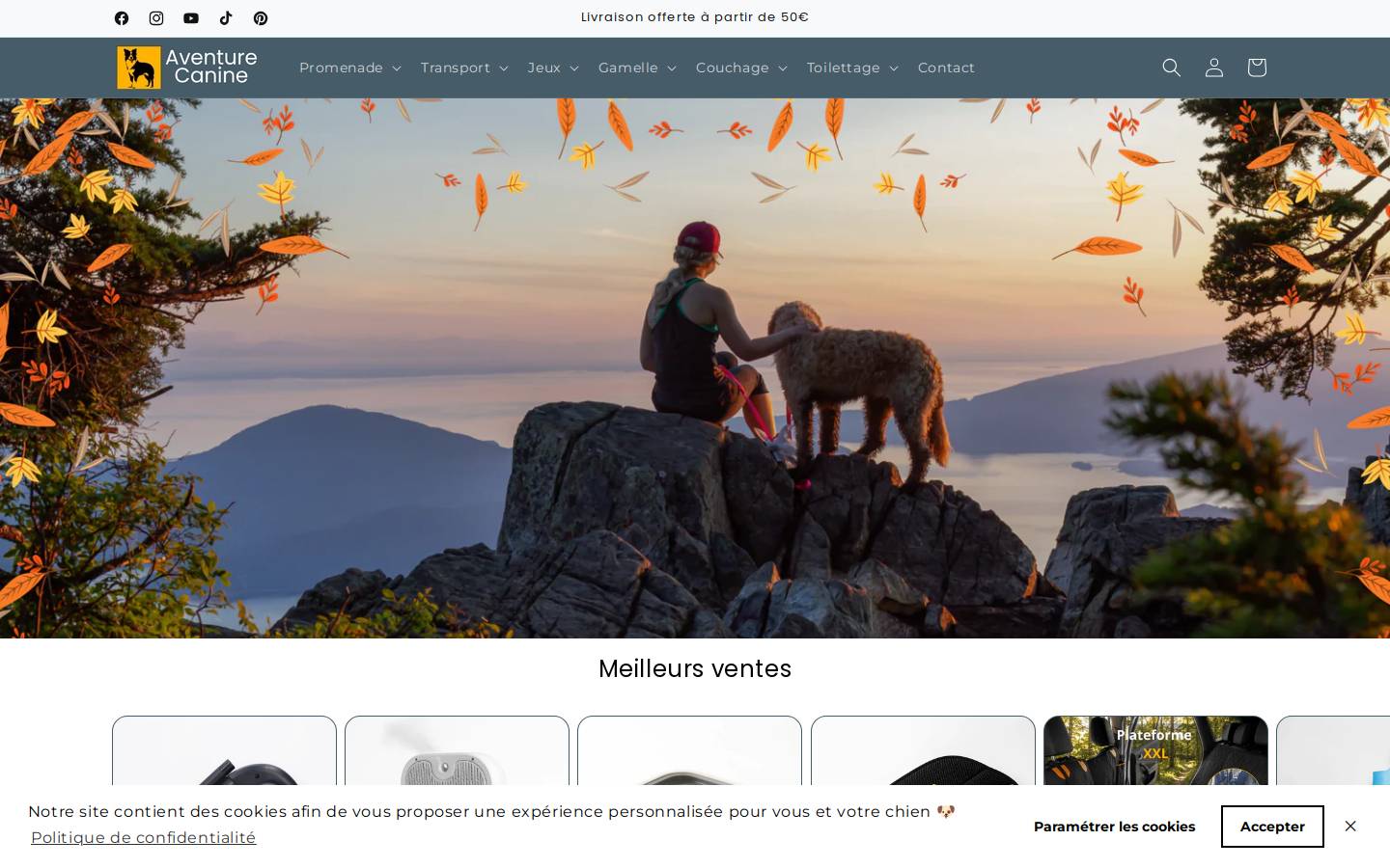 Aventurecanine homepage screenshot