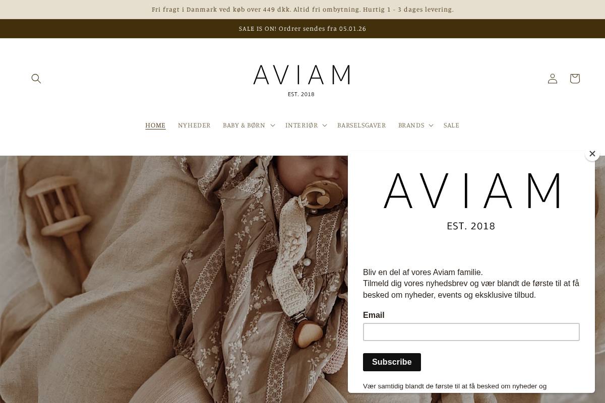 aviam.dk homepage screenshot