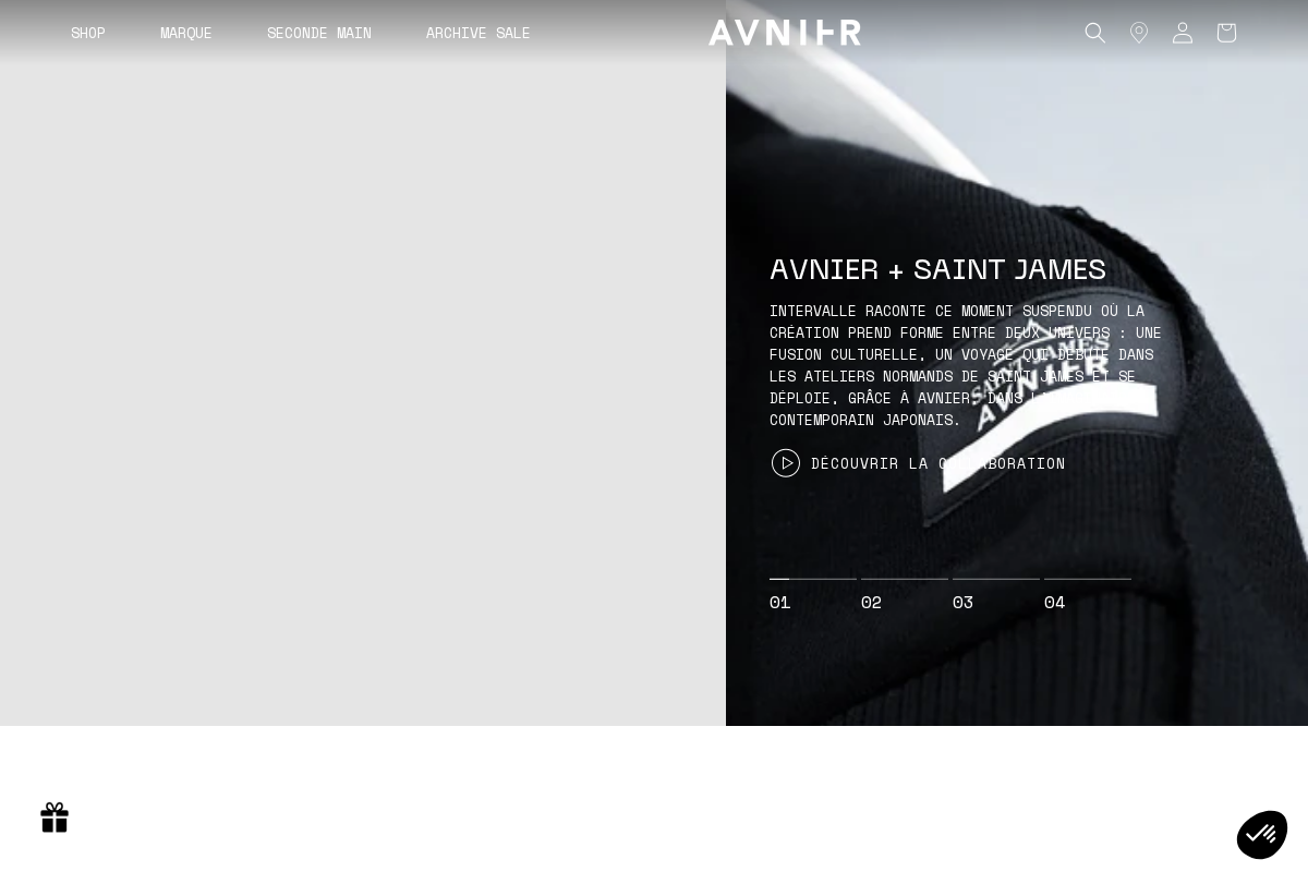 AVNIER homepage screenshot