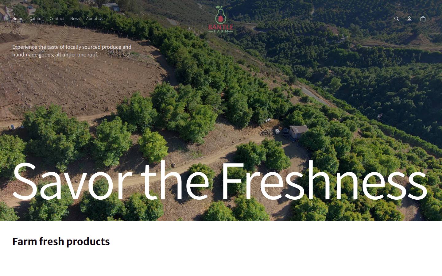 Avocadodude homepage screenshot