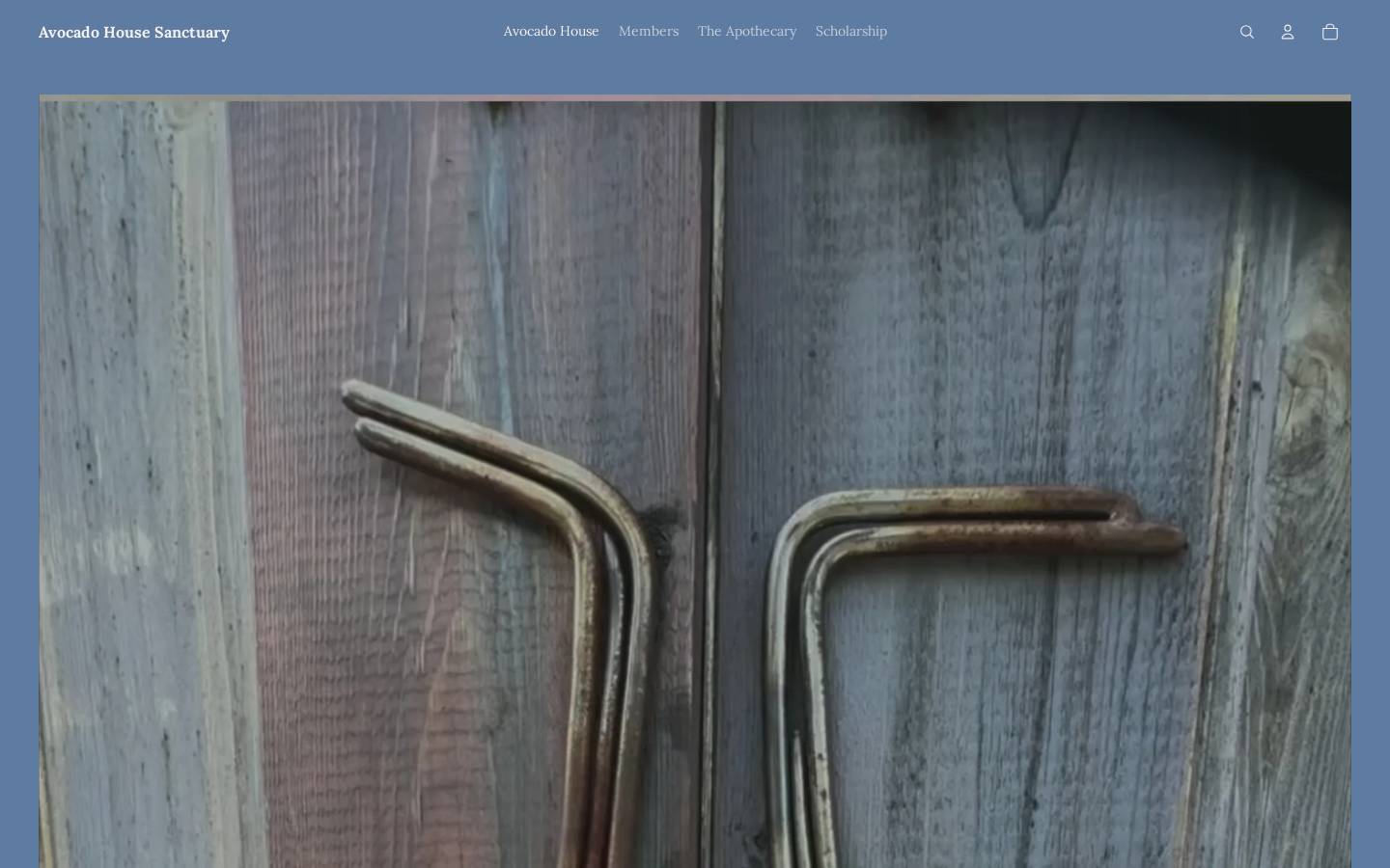 avocadohouse.love homepage screenshot