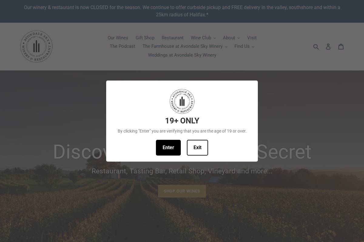 avondalesky.com homepage screenshot