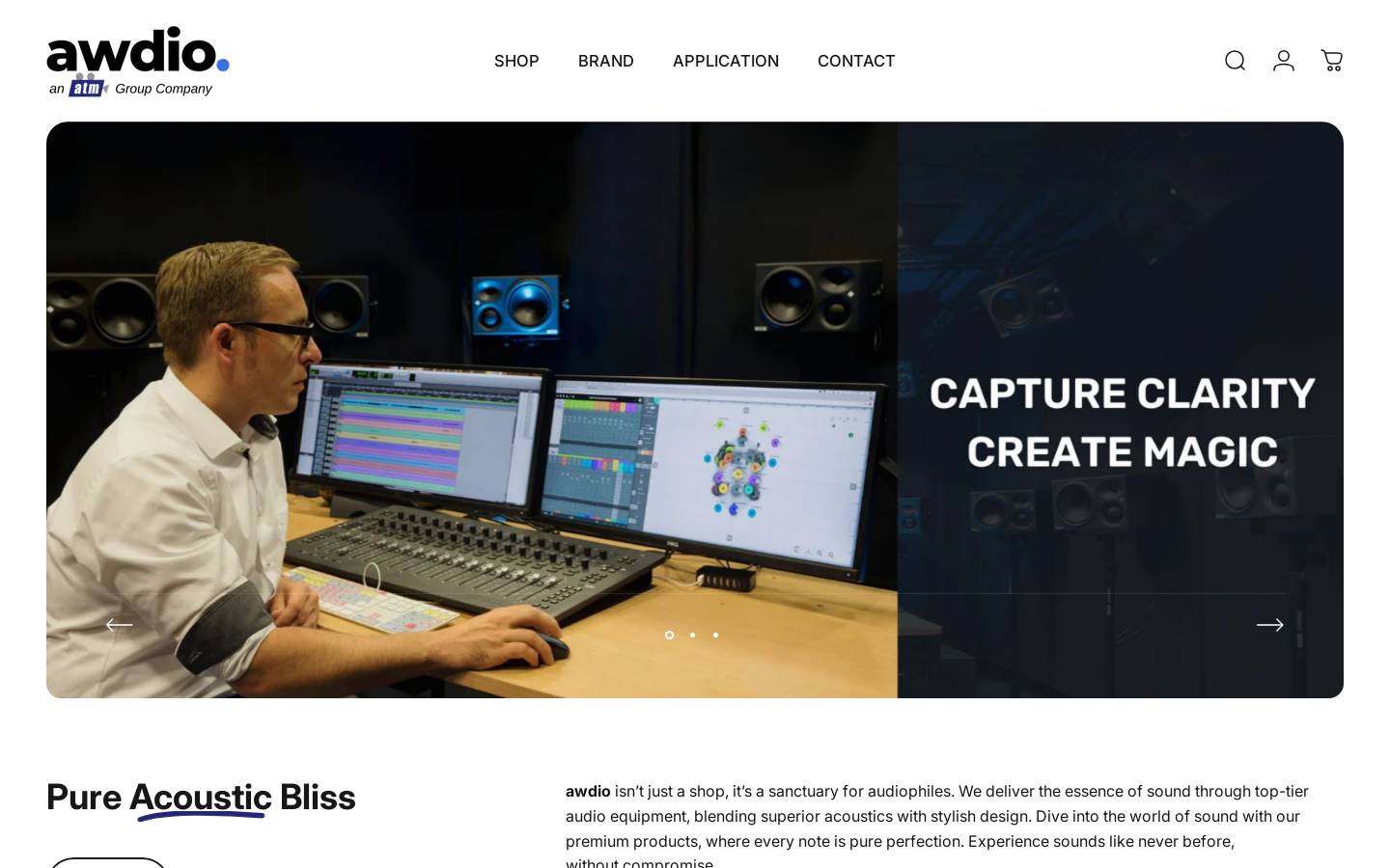 awdio.in homepage screenshot