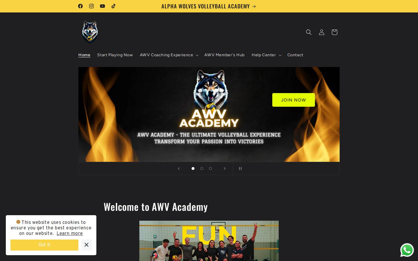 awvacademy.com homepage screenshot