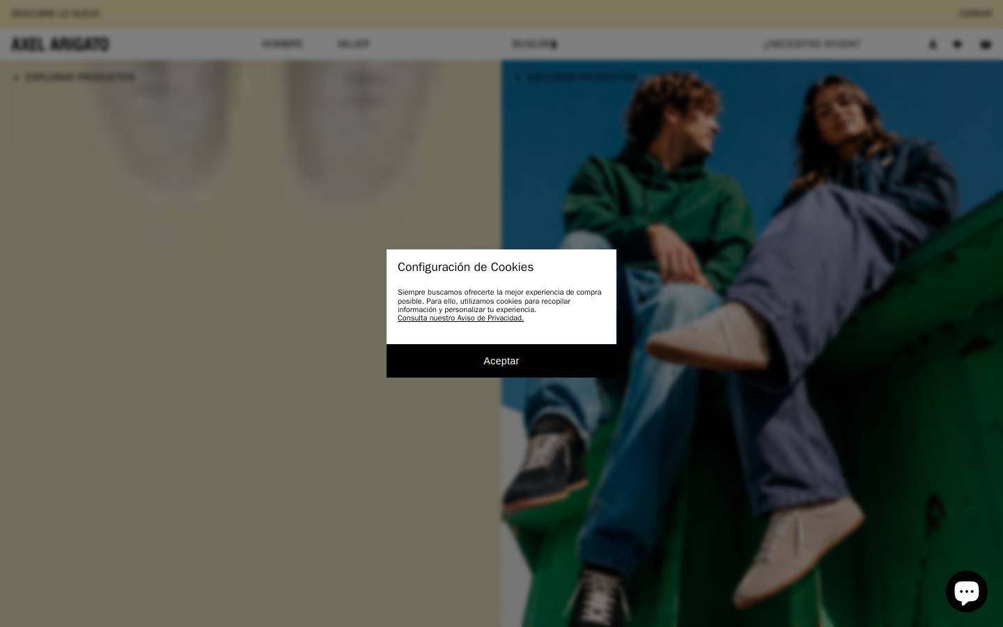 Axel Arigato homepage screenshot
