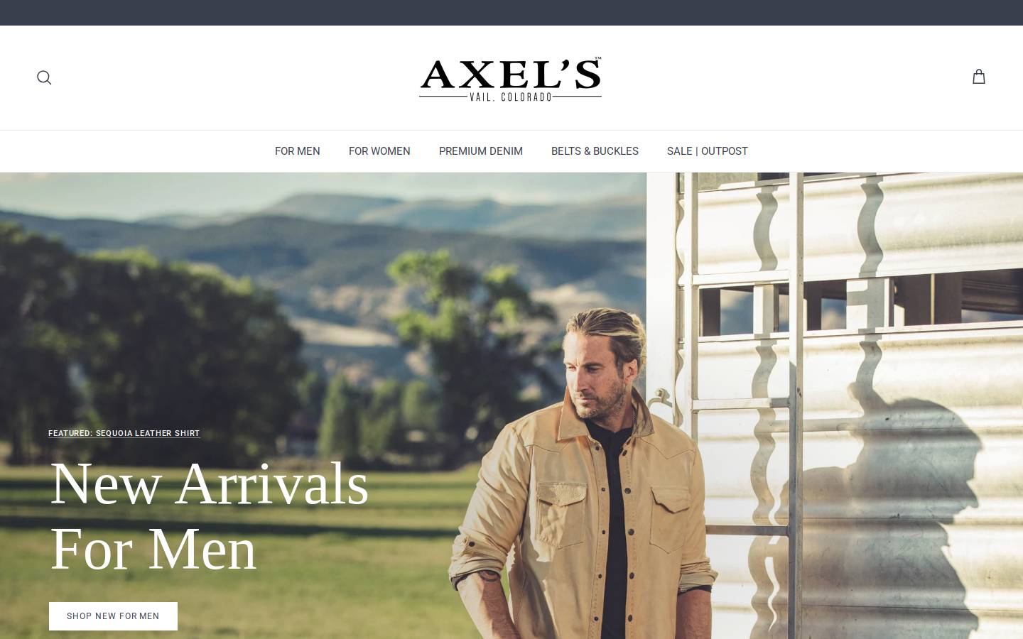 axelsltd.com homepage screenshot
