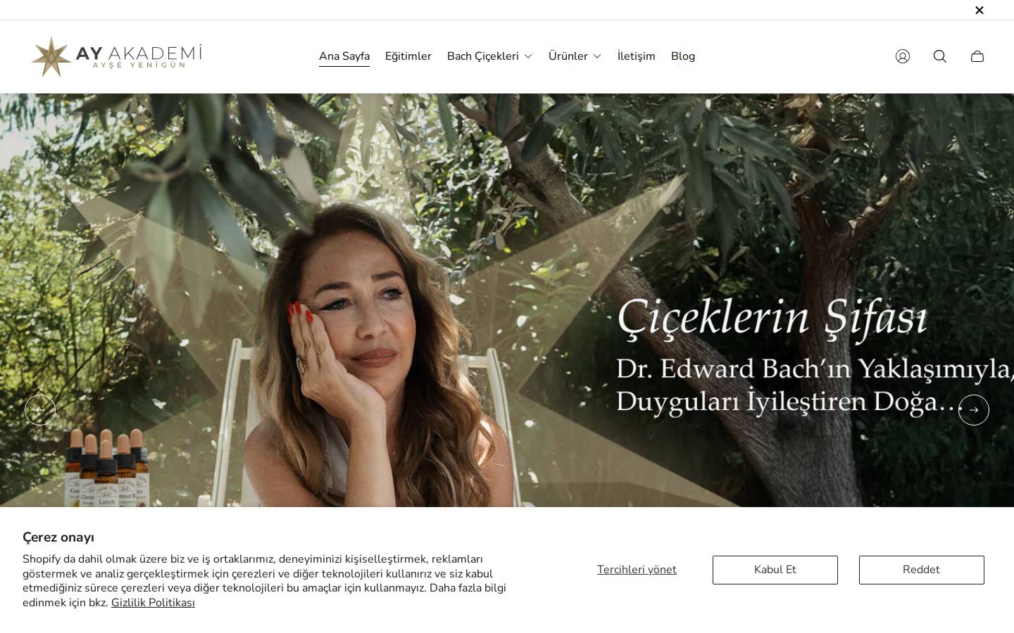ay-akademi.com homepage screenshot