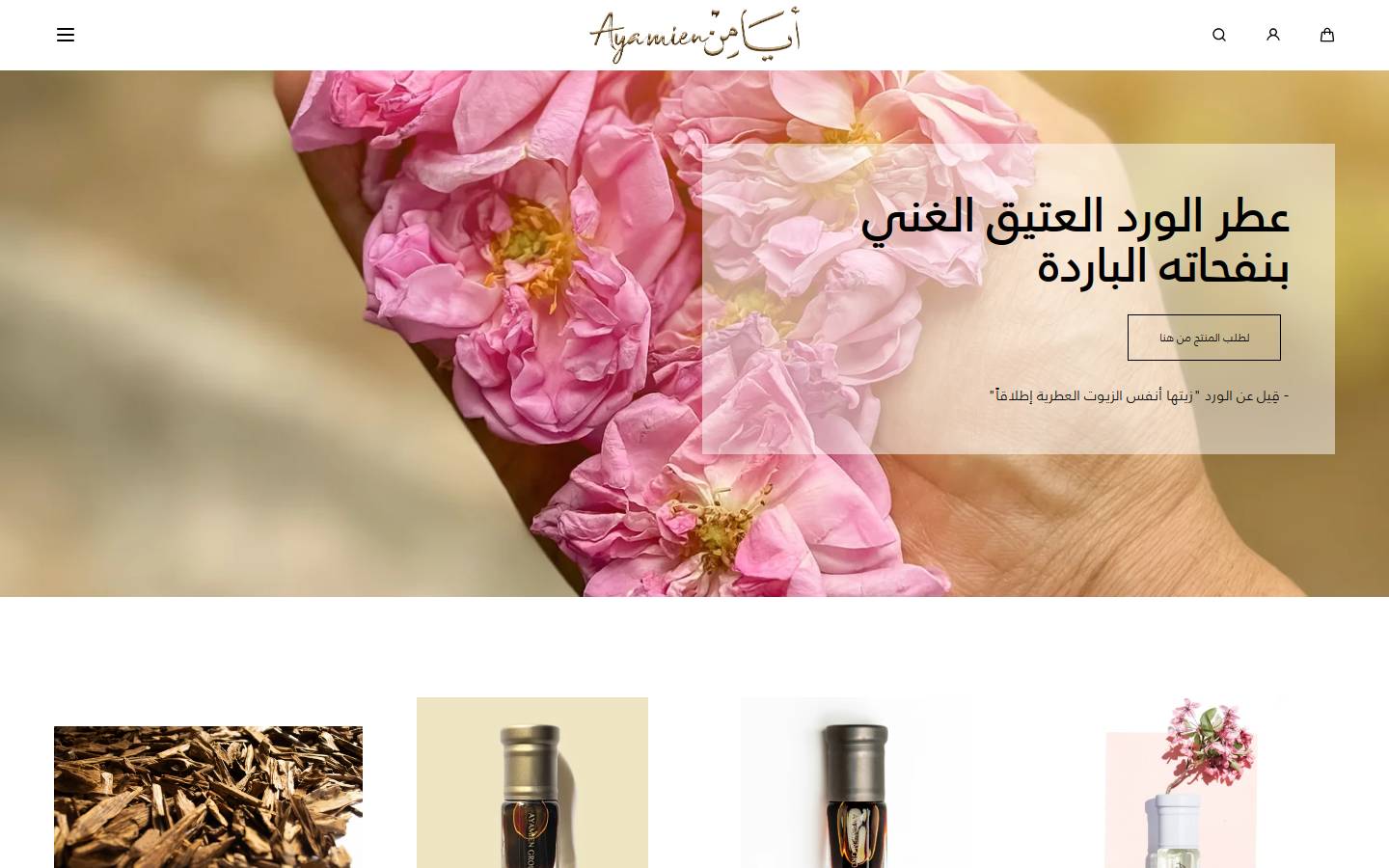 ayamiengroup.com homepage screenshot