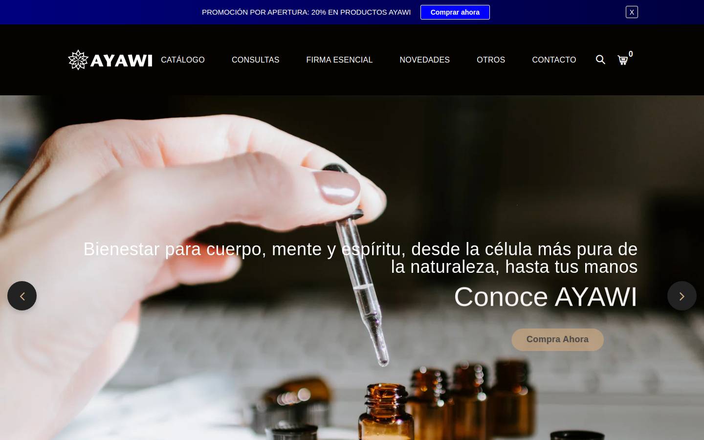 ayawi.com.mx homepage screenshot