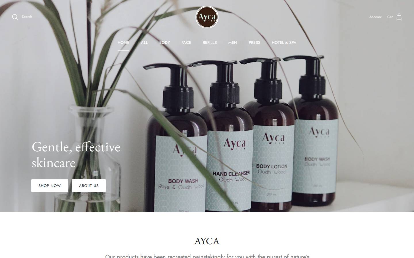 ayca.in homepage screenshot