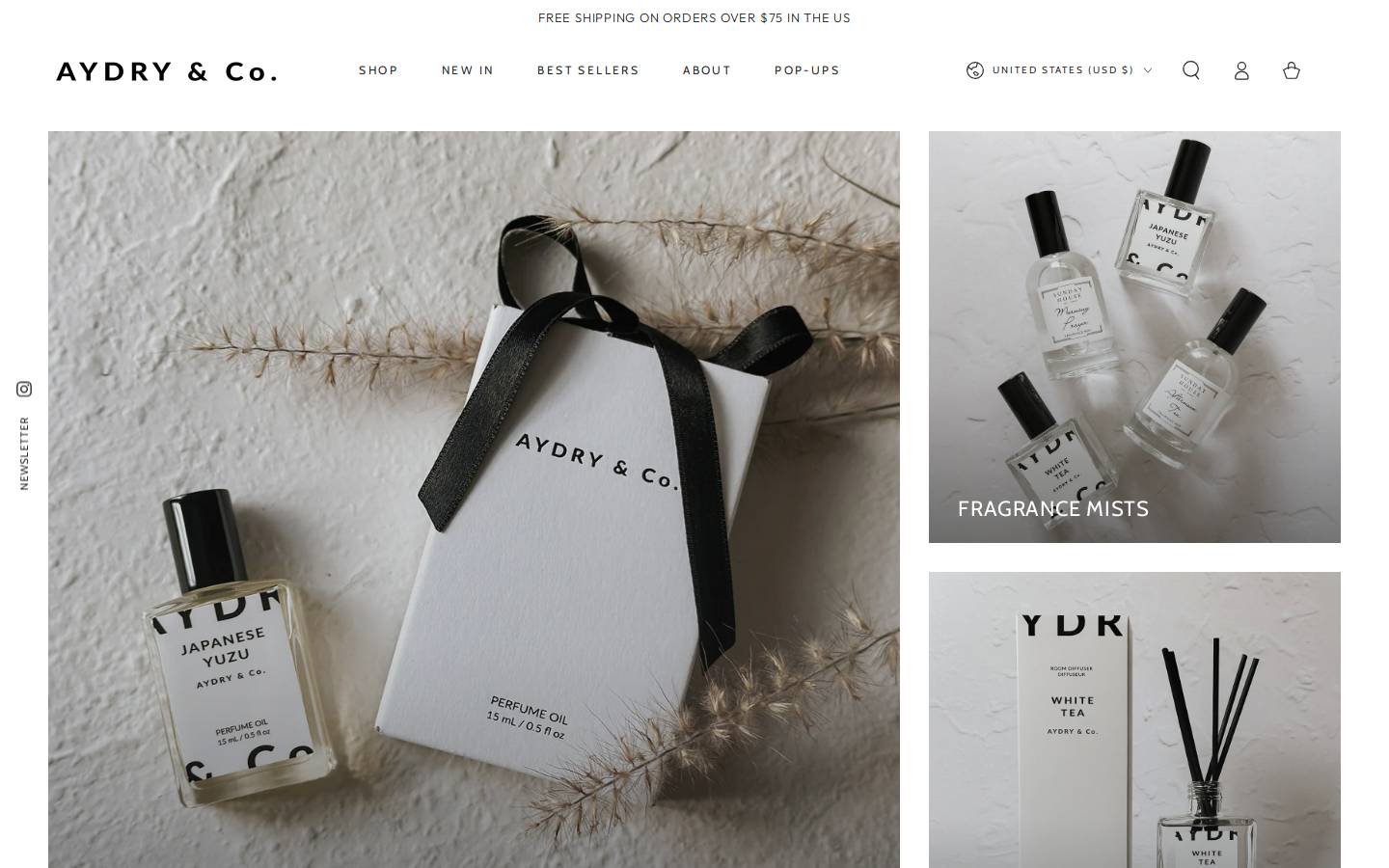 aydry.com homepage screenshot