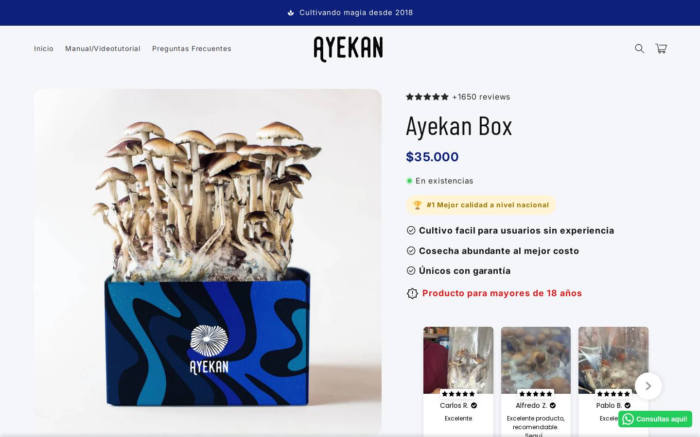 ayekanchile.com homepage screenshot
