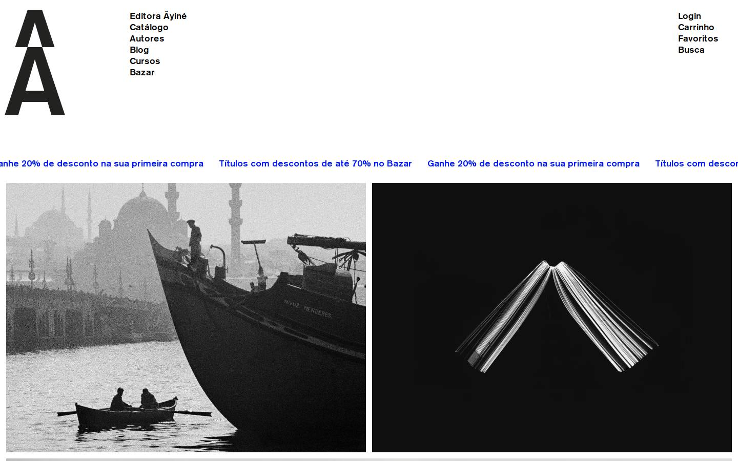 ayine.com.br homepage screenshot