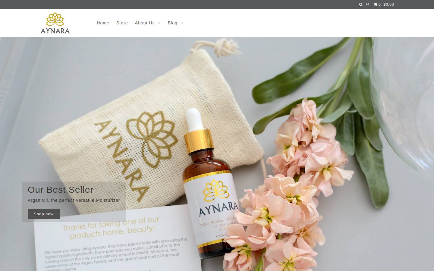 aynarabeauty.com homepage screenshot