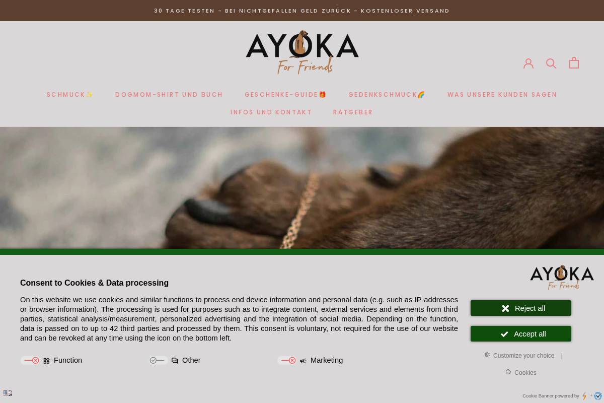Ayoka For Friends homepage screenshot