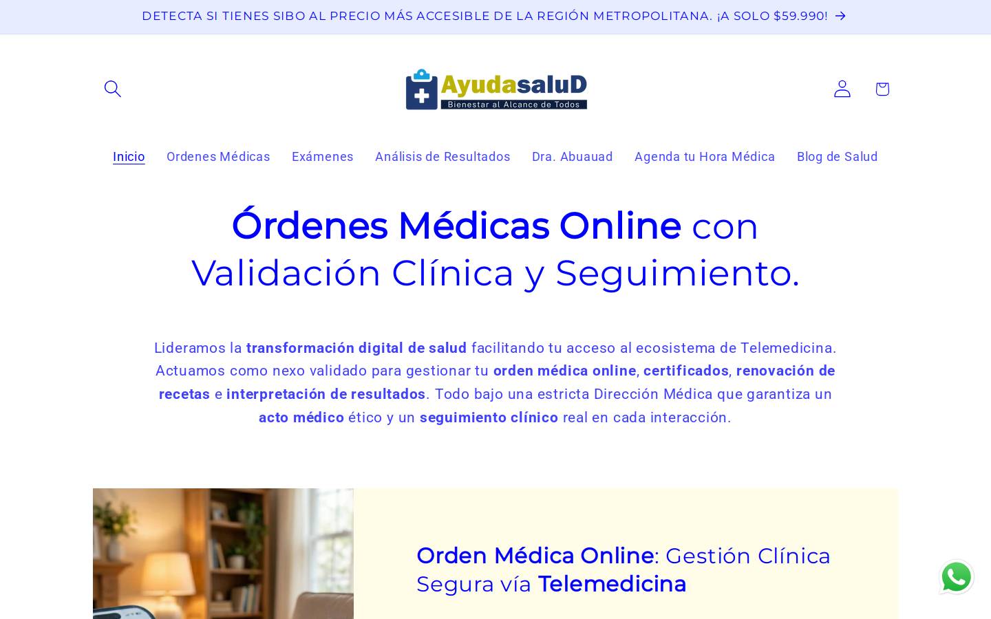 ayudasalud.cl homepage screenshot