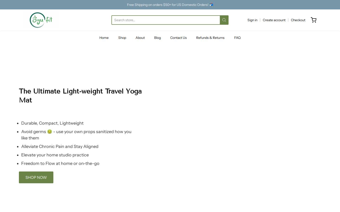 ayufitness.com homepage screenshot