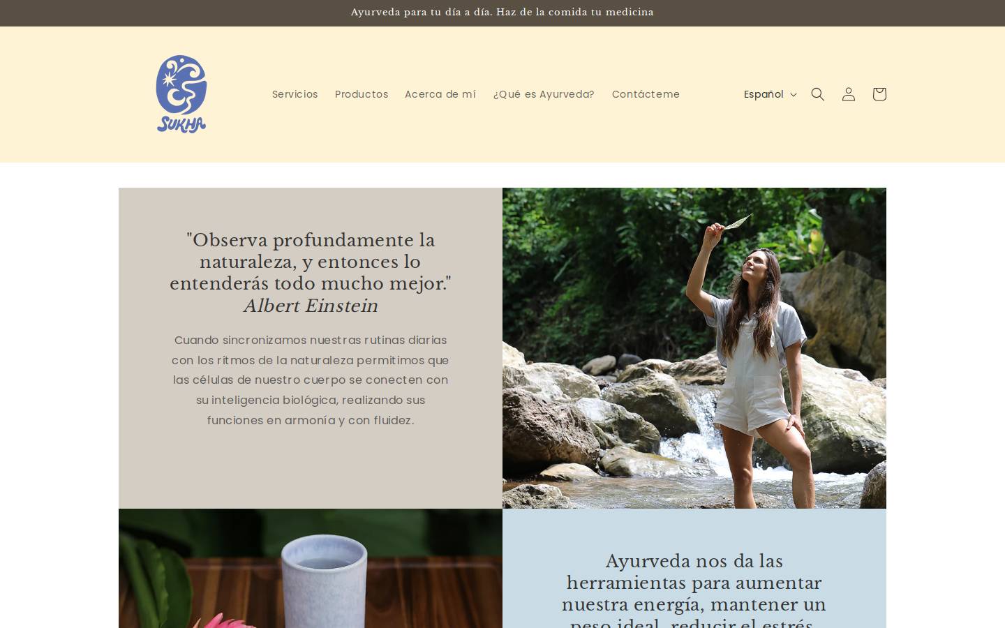 ayurvedacostarica.com homepage screenshot