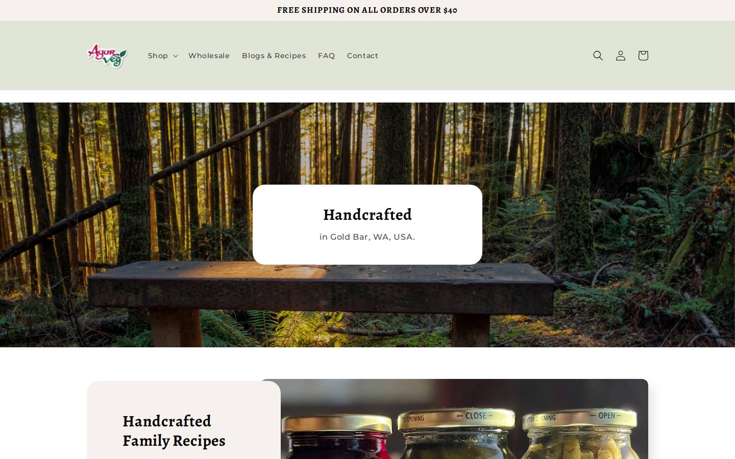 ayurveg.net homepage screenshot