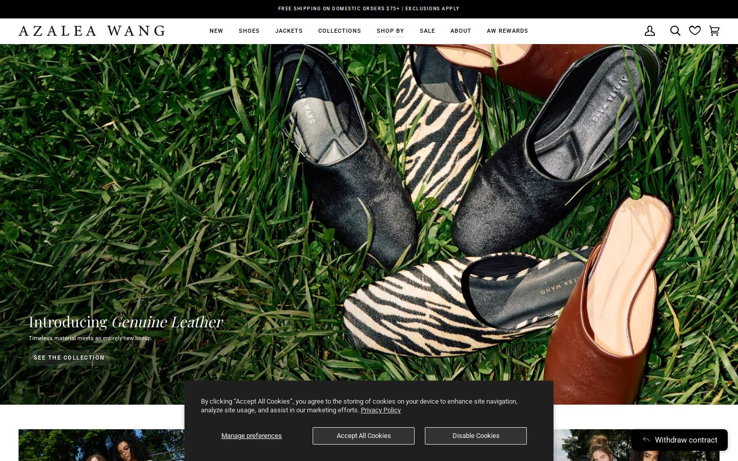 AZALEA WANG homepage screenshot