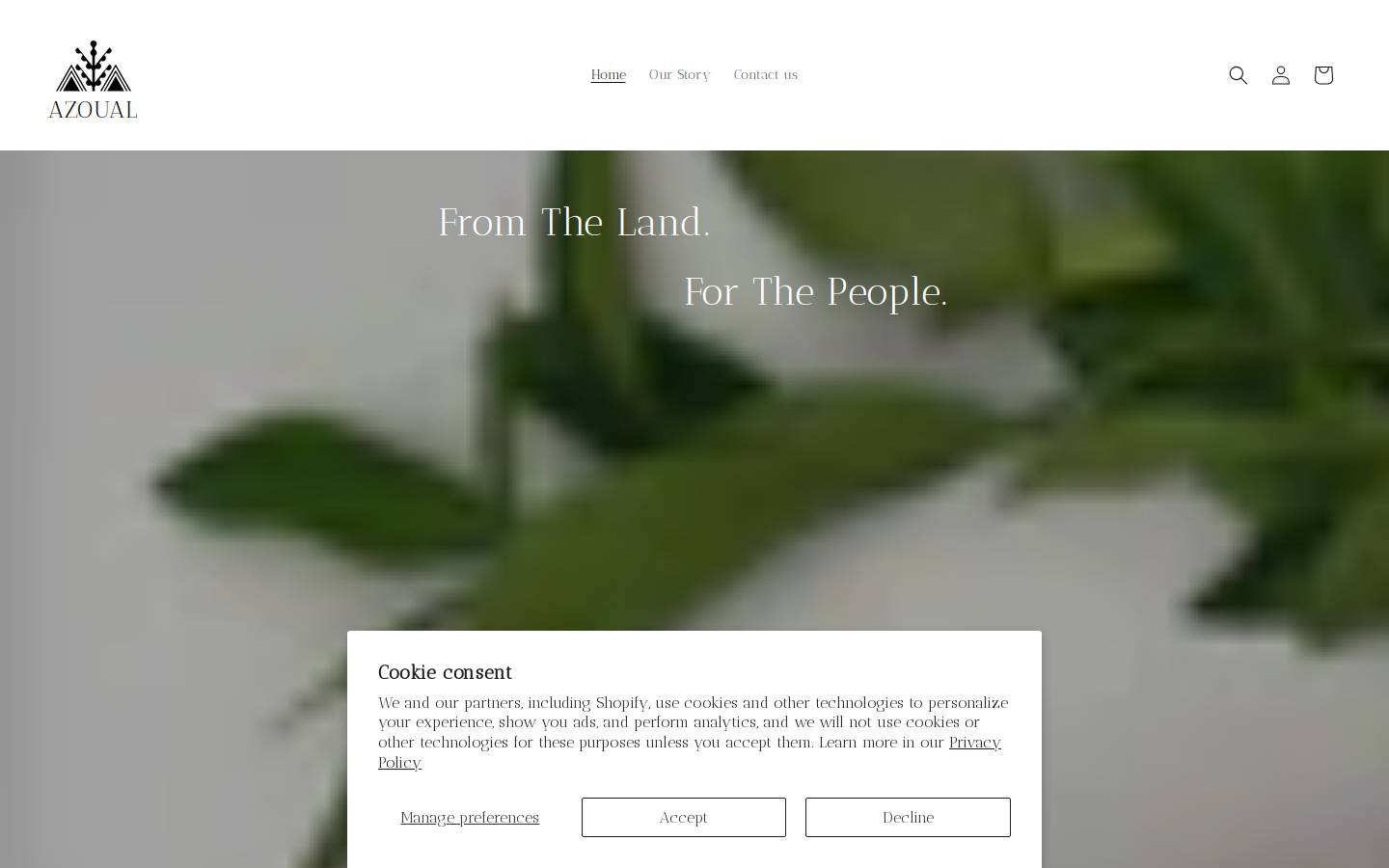 AZOUAL homepage screenshot