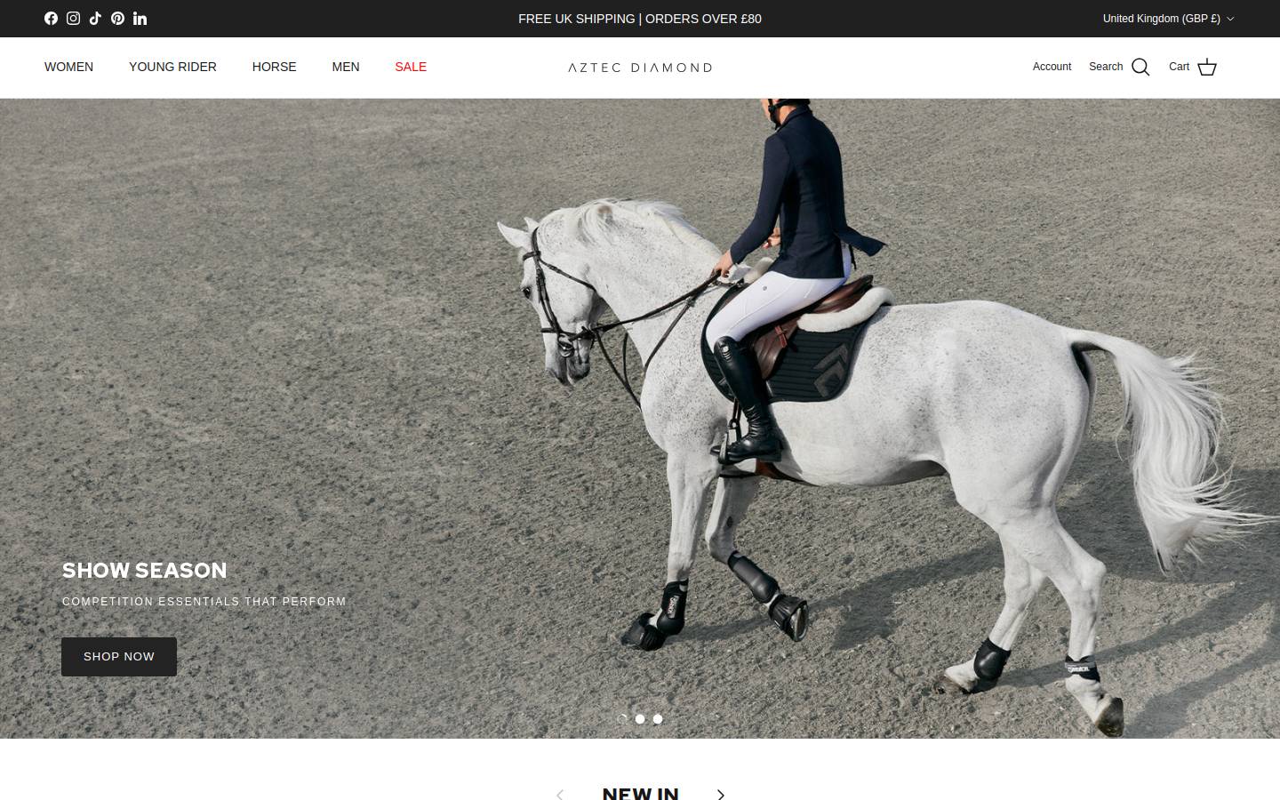 Aztecdiamond homepage screenshot