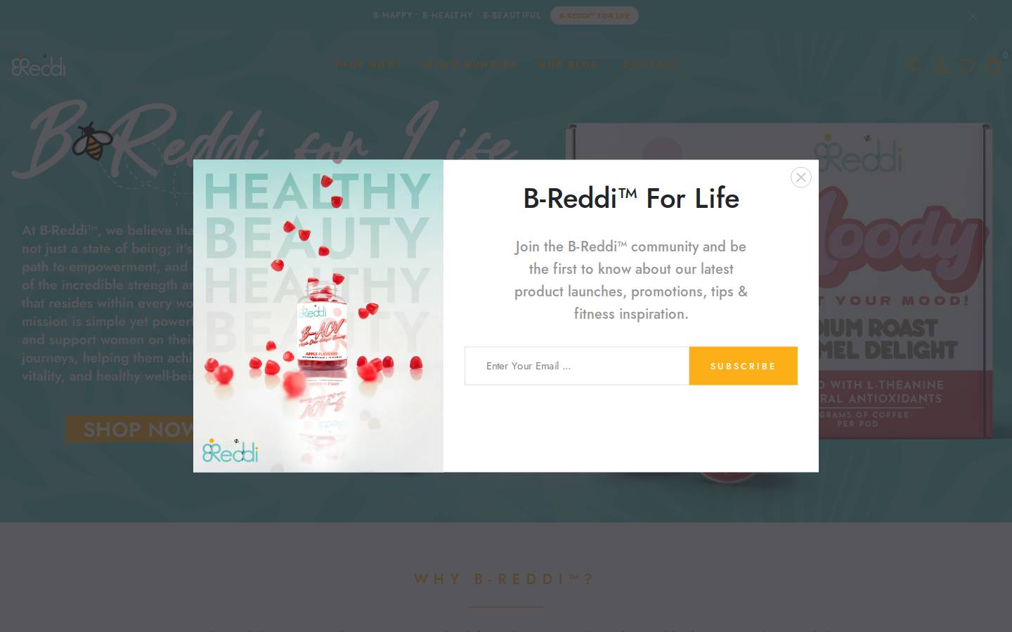 b-reddi.com homepage screenshot