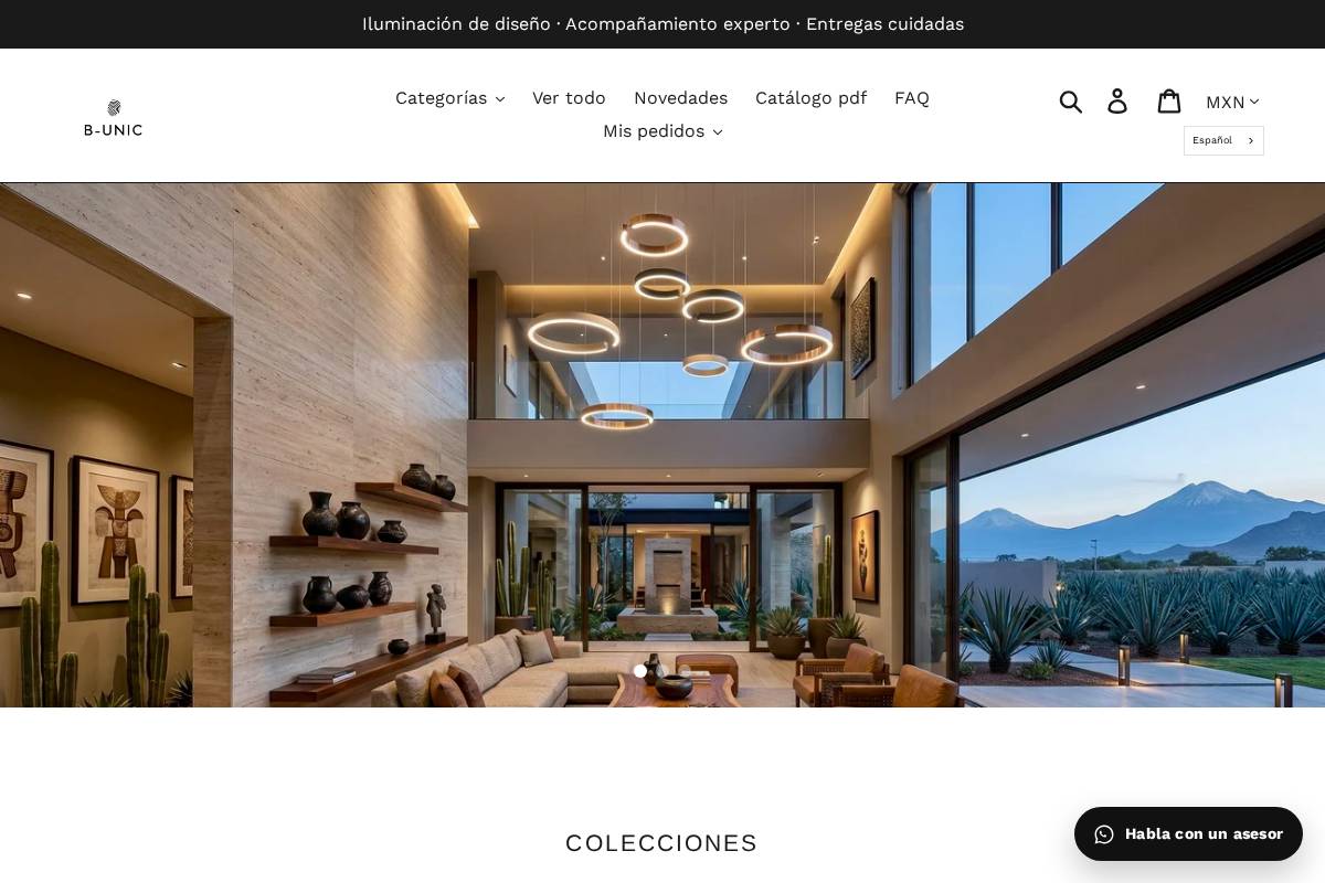 b-unic.mx homepage screenshot