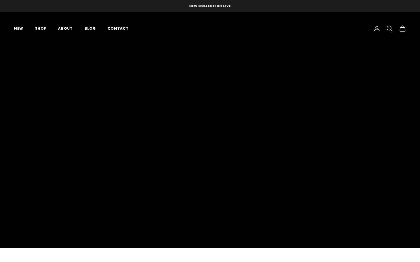 ba-zic.com homepage screenshot