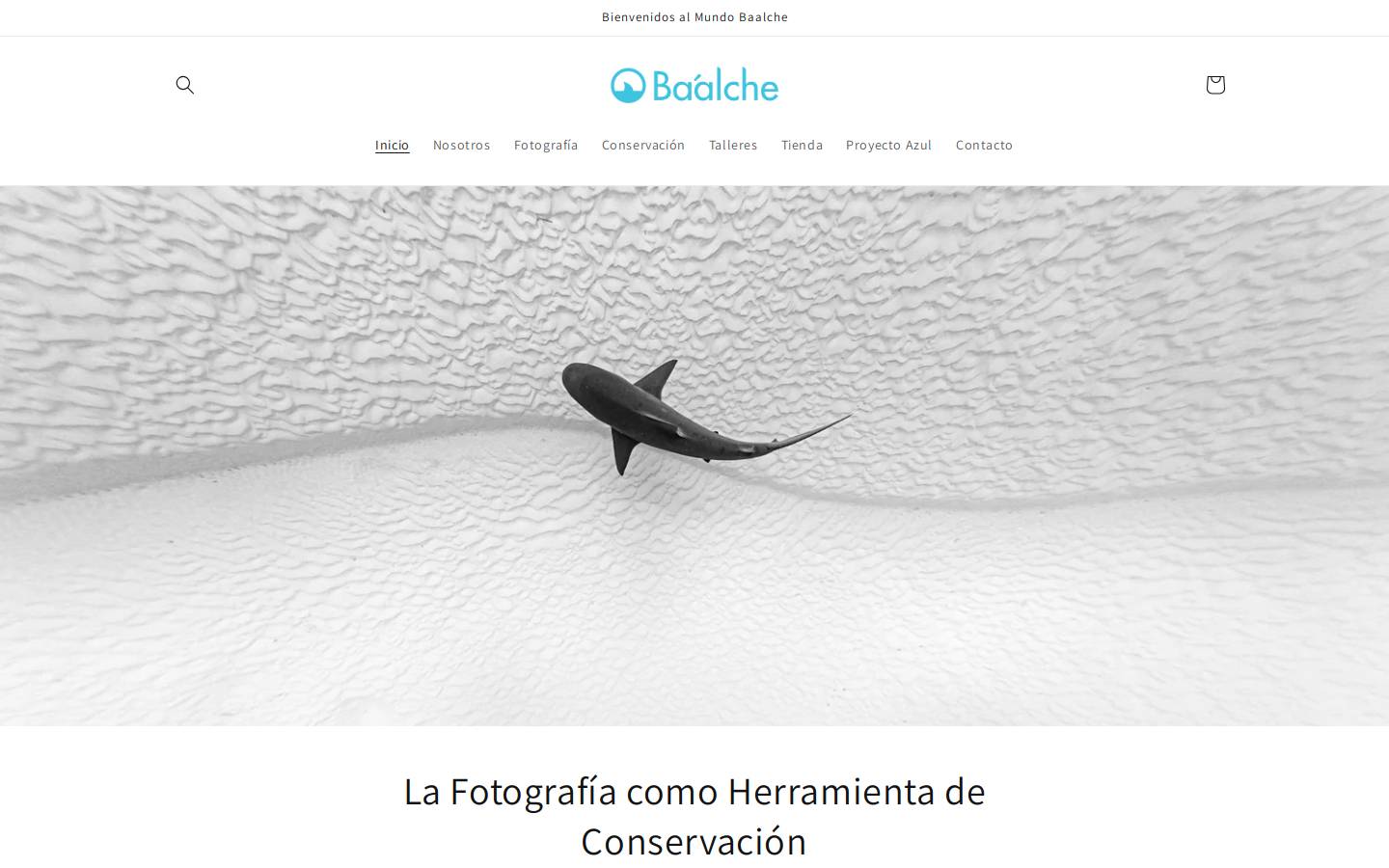 baalche.com homepage screenshot