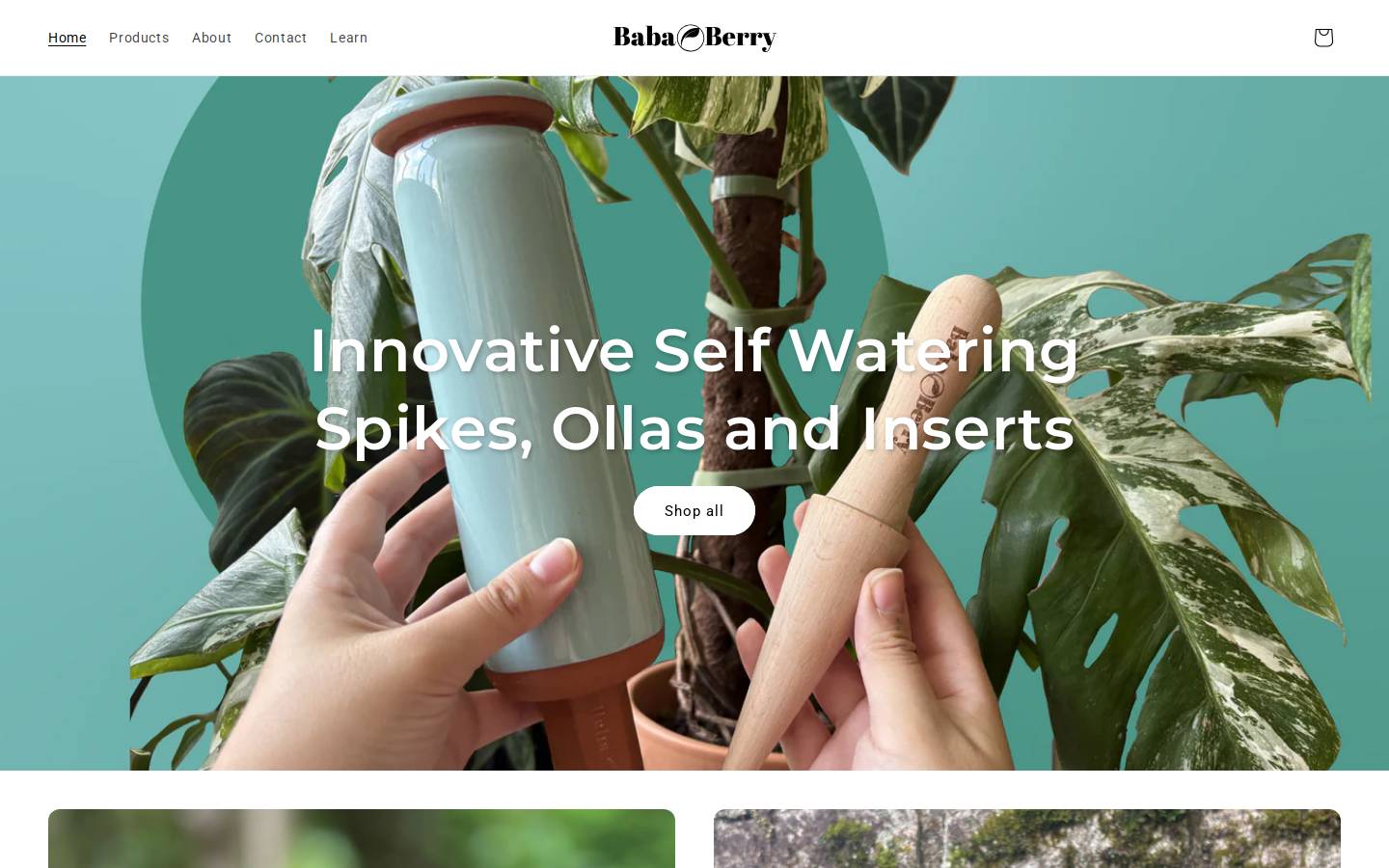 bababerry.co homepage screenshot