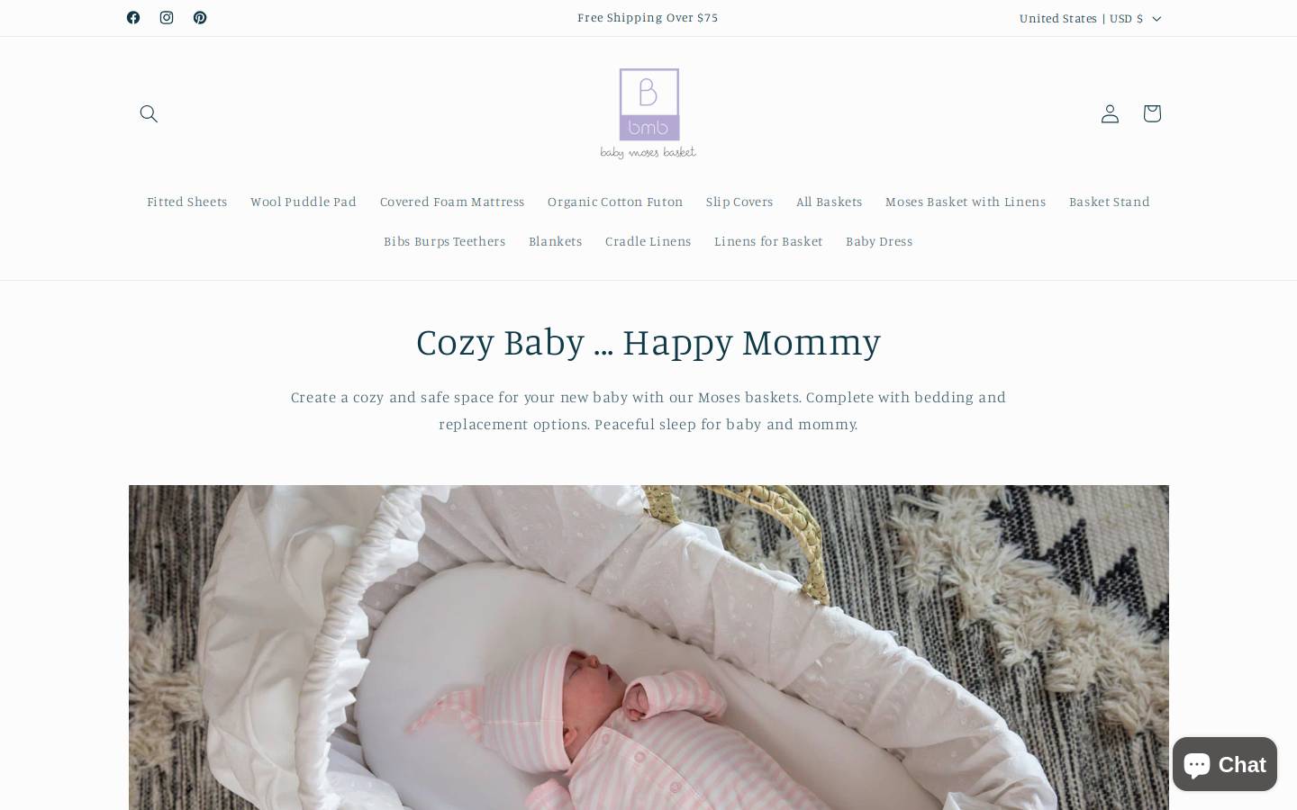 babymosesbasket.com homepage screenshot
