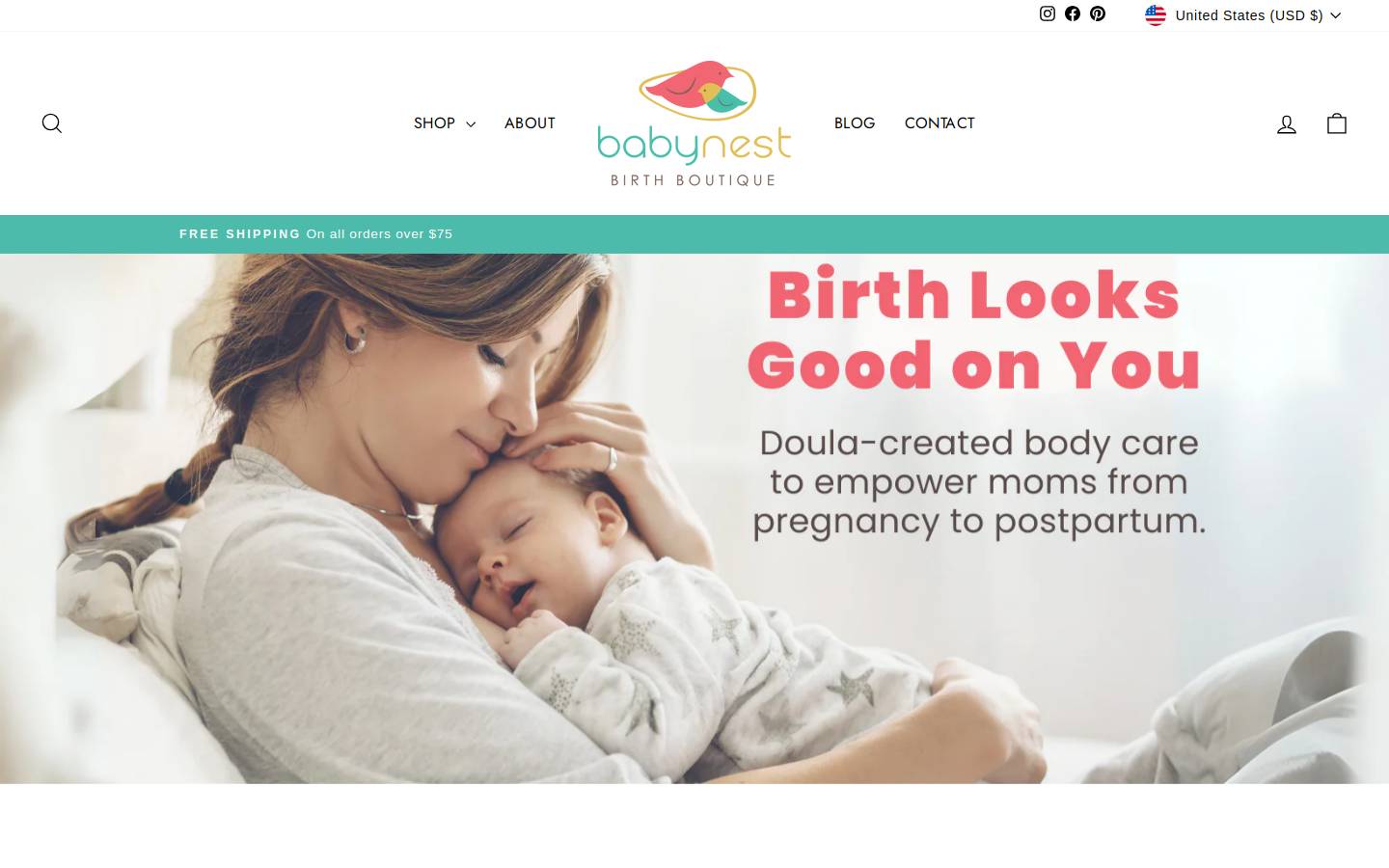 babynestbirthboutique.com homepage screenshot