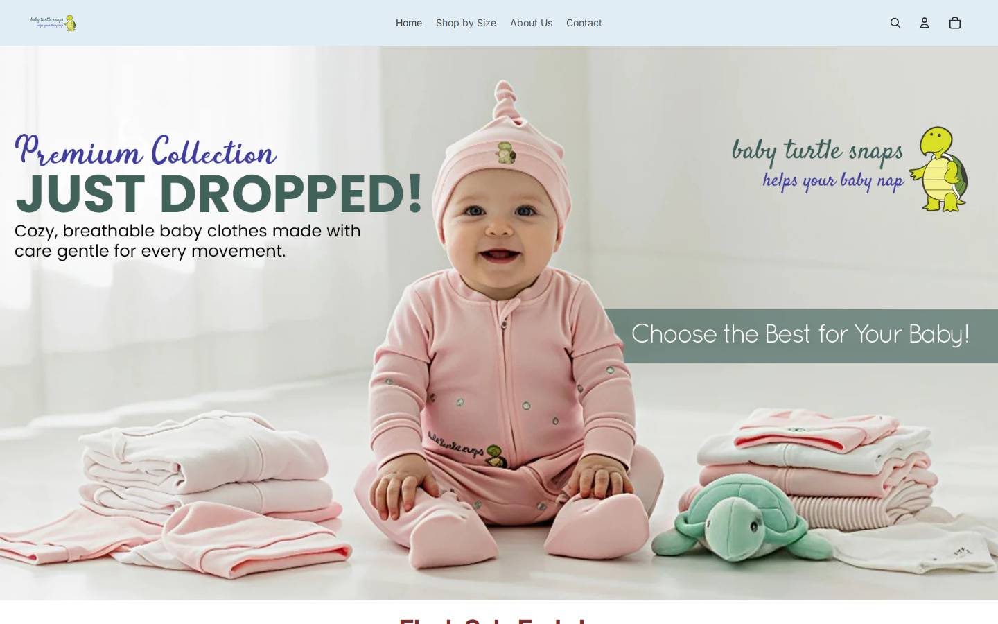 babyturtlesnaps.com homepage screenshot