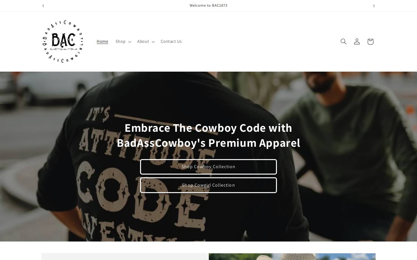 bac1873.com homepage screenshot