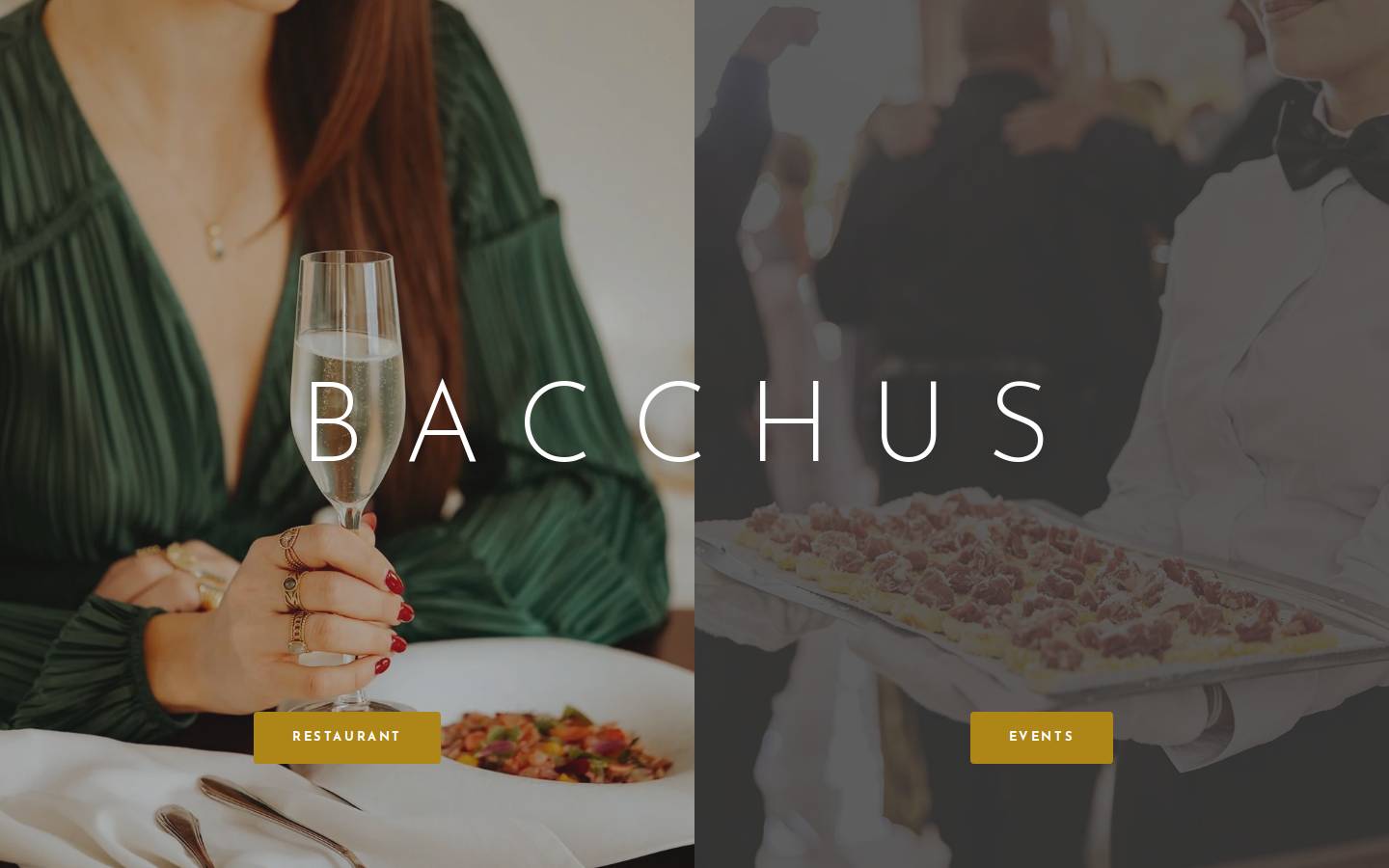 bacchus.com.mt homepage screenshot