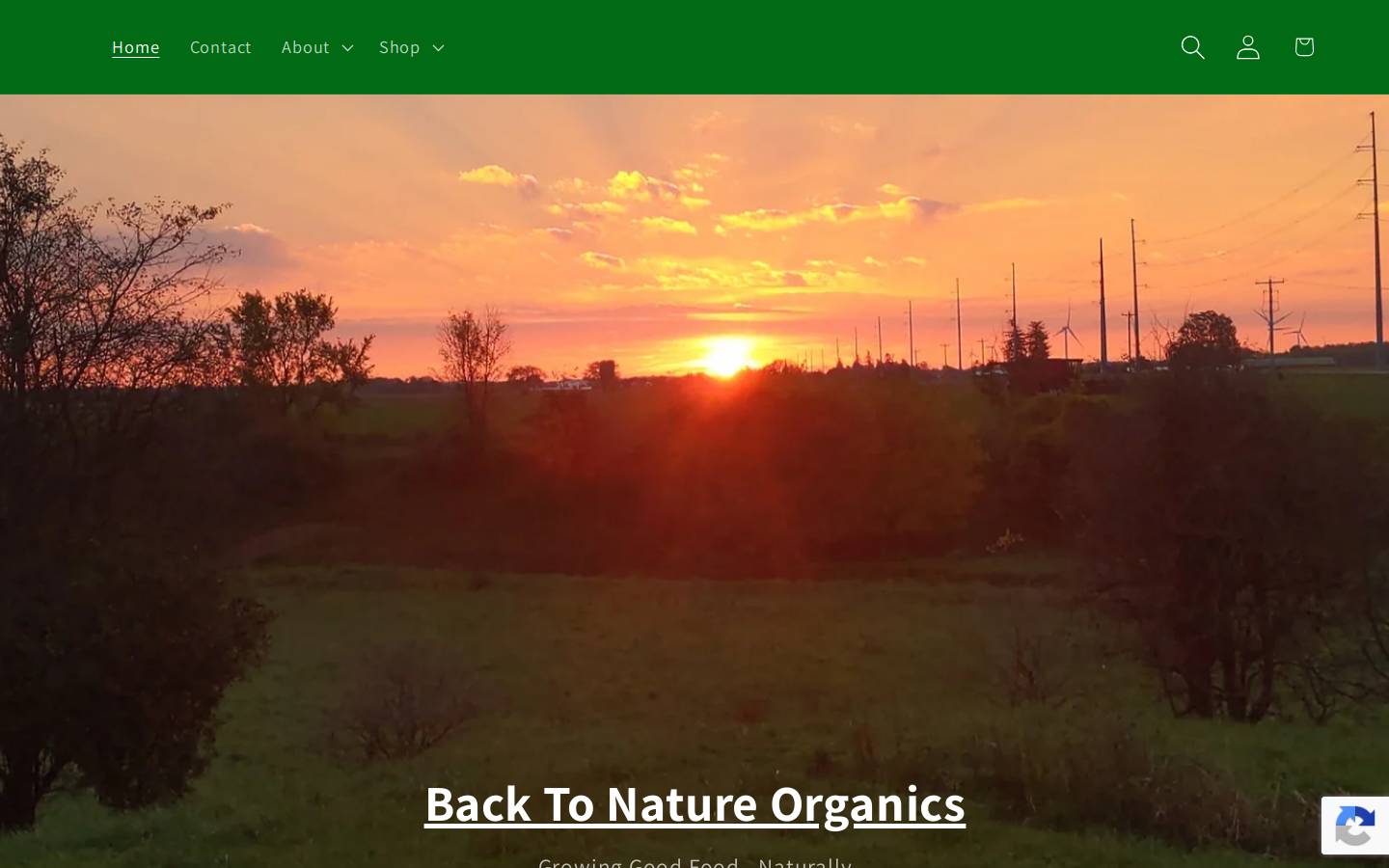 back2natureorganics.com homepage screenshot