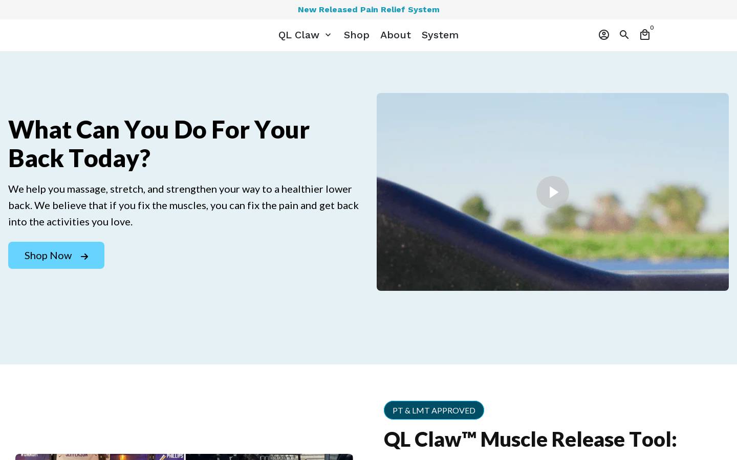 Back Muscle Solutions homepage screenshot