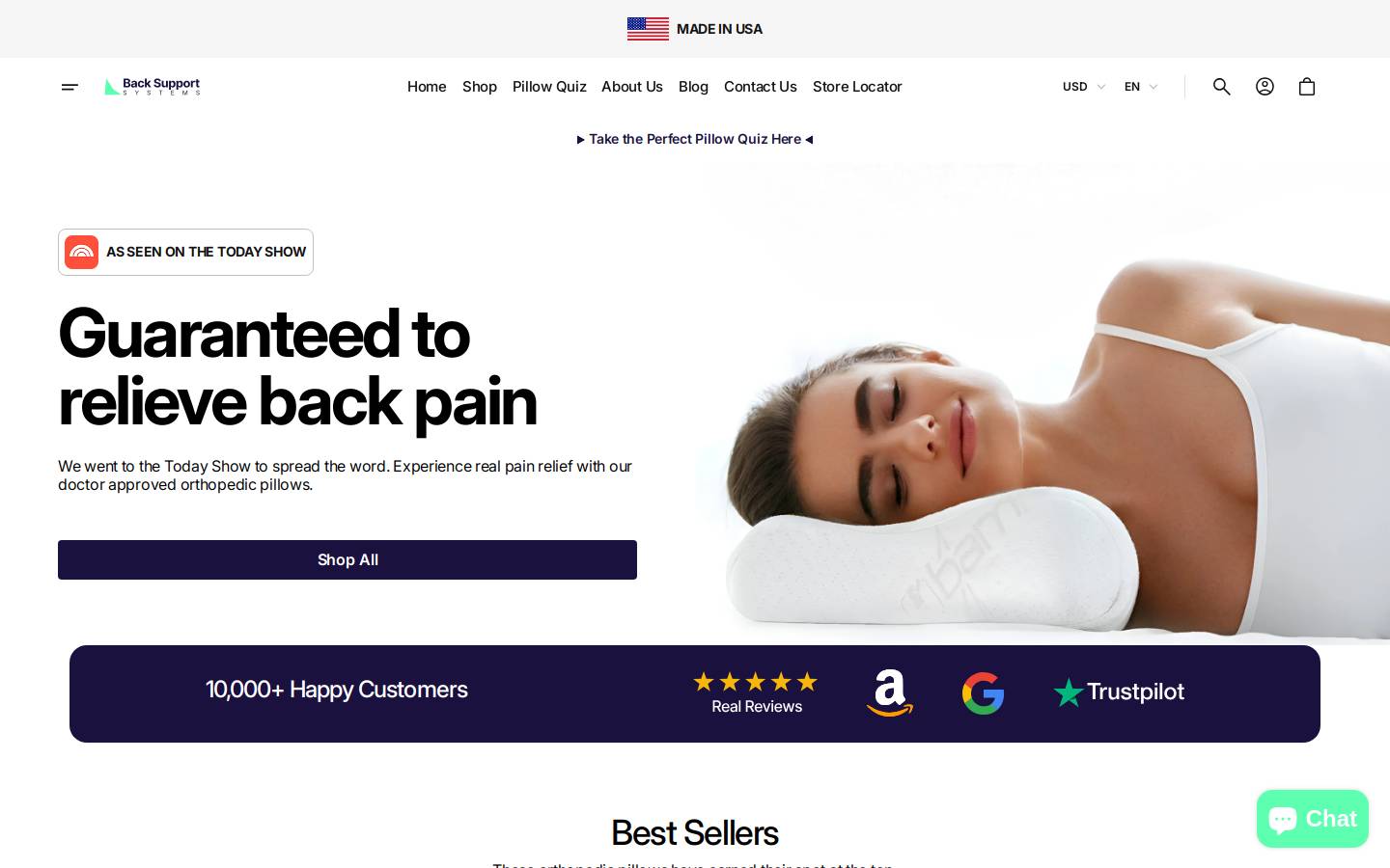 backsupportsystems.com homepage screenshot