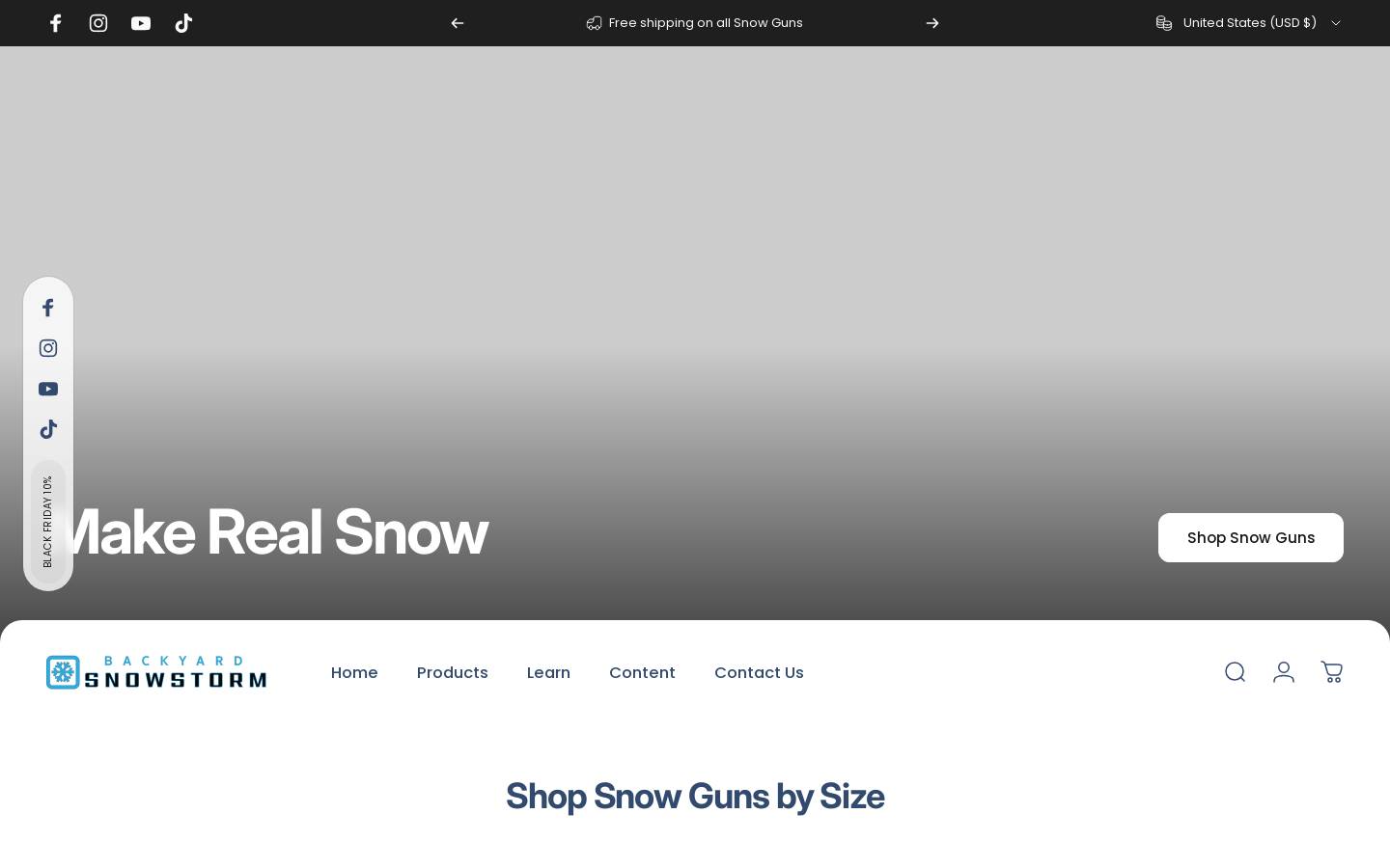 backyardsnowstorm.com homepage screenshot