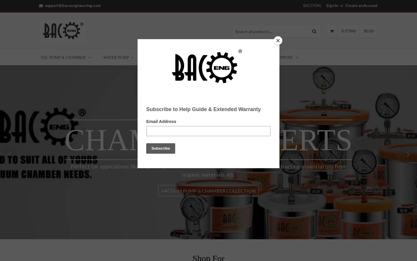 bacoeng.com homepage screenshot