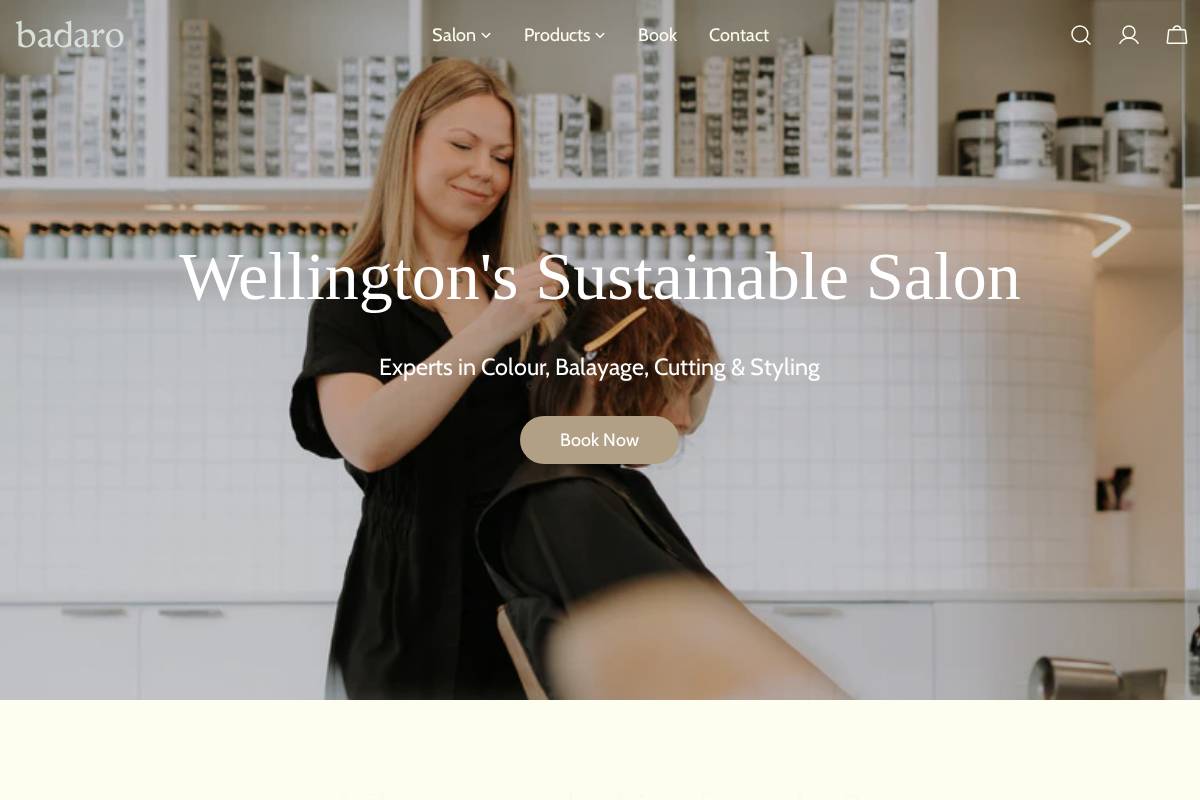 badaro.co.nz homepage screenshot